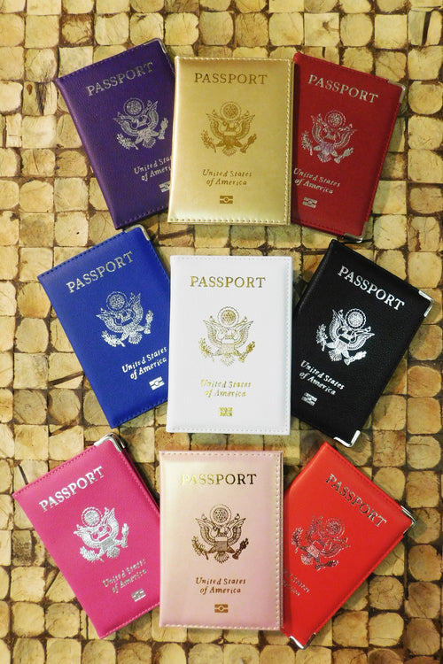 World Traveler Passport Case